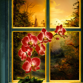 Orchid356 的头像