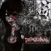 The Grotesque & Arabesque