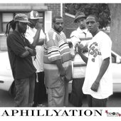 APN APHILLYATION 2010