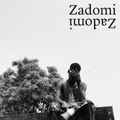 Zadomi