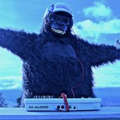 SoUnD WaVeS-official 