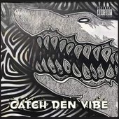 Catch den Vibe [Explicit]