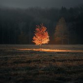 invisible grace