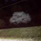 From Bloom to Bust