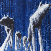 packham0 的头像