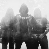 Into Coffin