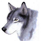 Awatar dla ArcticWolves