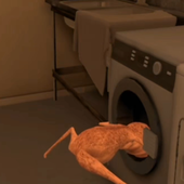 XquisiteTrash 的头像