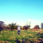Tooti running in a field