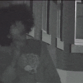 Jaydes - Gelato GIF