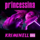 Kriminell (feat. Mae$trO) - Single