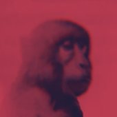 Monkey at peace in hell i guess