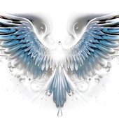 SET ME FREE