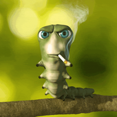 Avatar for chehas667