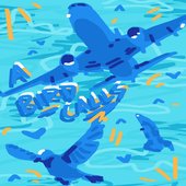 A Bird Calls