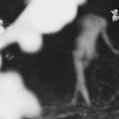IMG_4528.jpeg