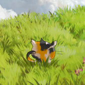Calico!