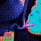 Psychedelic pull