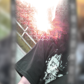 lvvl1331lv.png