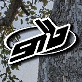 SNB Logo