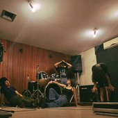musgo - estudio lumen