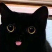 PenguinPhill 的头像