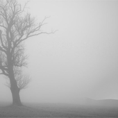 Cover Photo