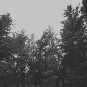 Liminal Shroud
