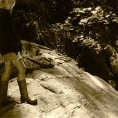 Chapter 3 (Spring)