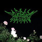 BLDSLSH