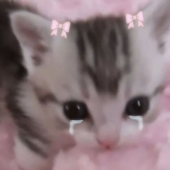 naranciaaaa 的头像