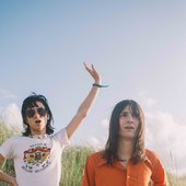 Lemon Twigs 1.jpg