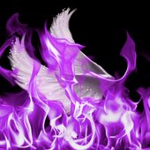 B1CD9A3D-3677-4F07-984E-952D4E12F31A.jpeg
