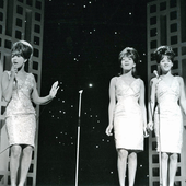 The Ronettes-3.png