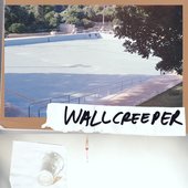Wallcreeper