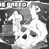 Hardcore from Netherlands