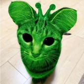 lutaures 的头像