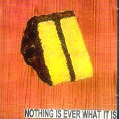 Nothing Is Ever What It Is