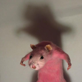 RatDaddy69 的头像