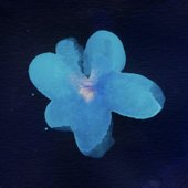 IMG_7633.jpeg