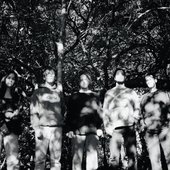 forestry