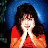 Avatar for Björk