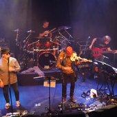David Cross Band  1.jpg