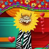 The Best of the Brega