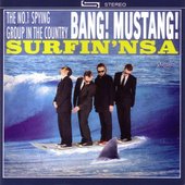 Surfin' NSA