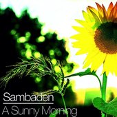 A Sunny Morning