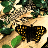 Avatar for Yuukow