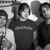 The Cheetahs 2.jpg