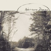 adolescent dreams