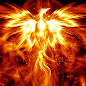 Avatar for PhoenixAnon